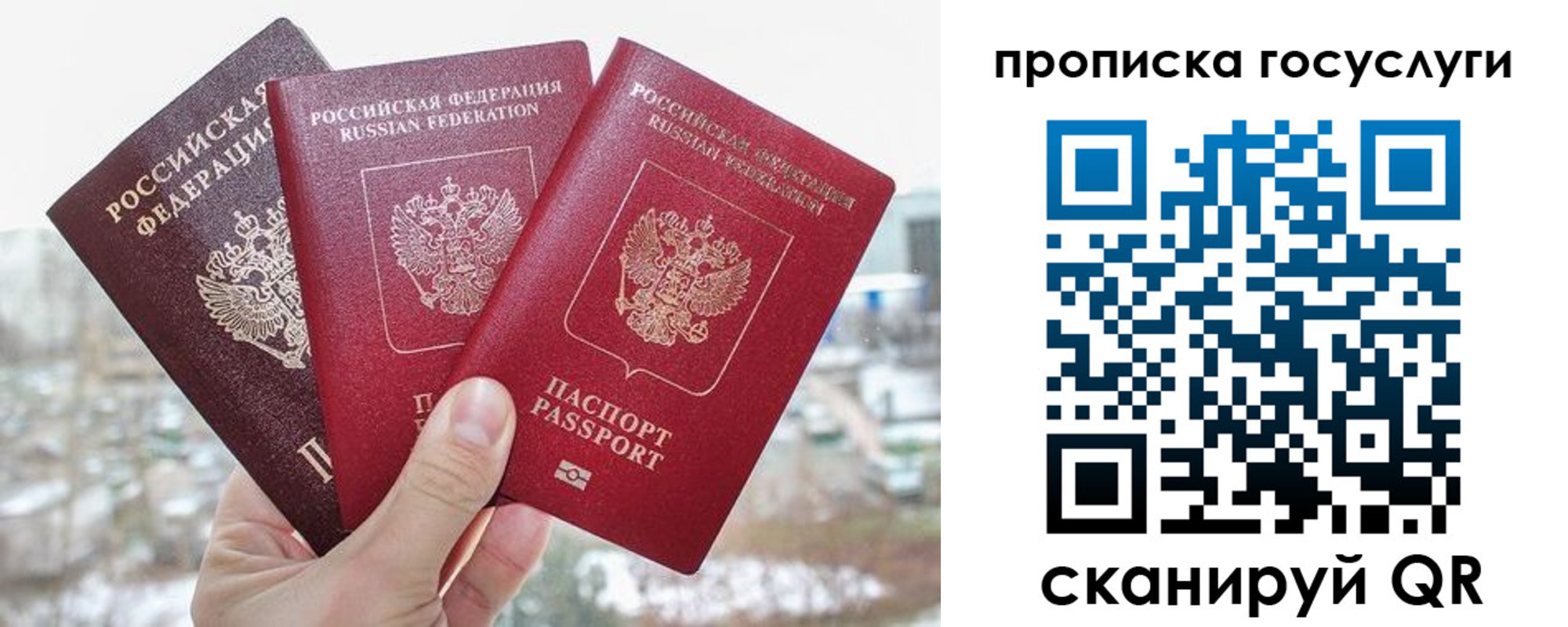 прописка законно в Коле
